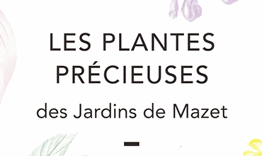Accès à mariedemazet.com